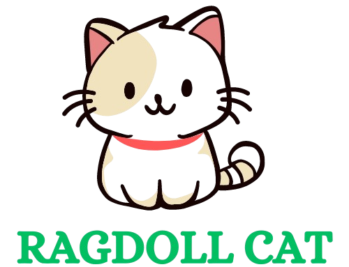Ragdoll Cat